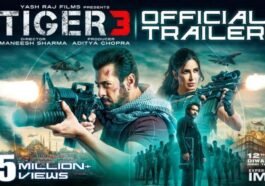 Tiger 3 (2023) Movie Budget & Hit or Flop Report